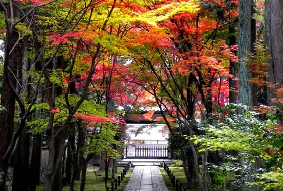 鹿王院
