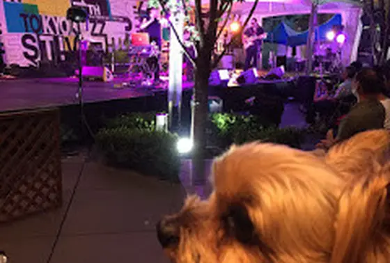 ボクも一緒にグルーヴ♪