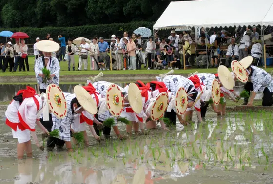 御田植神事
