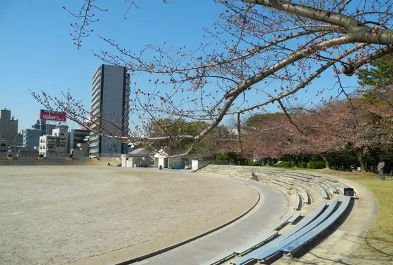 スタンドの回りは全て桜