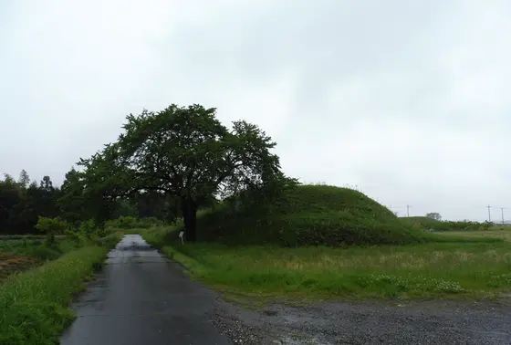”野古墳”の”野”は地名です。