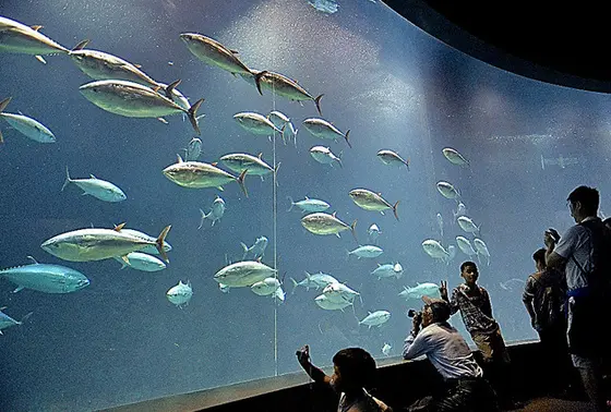 葛西臨海水族館