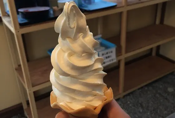 ソルトアイス