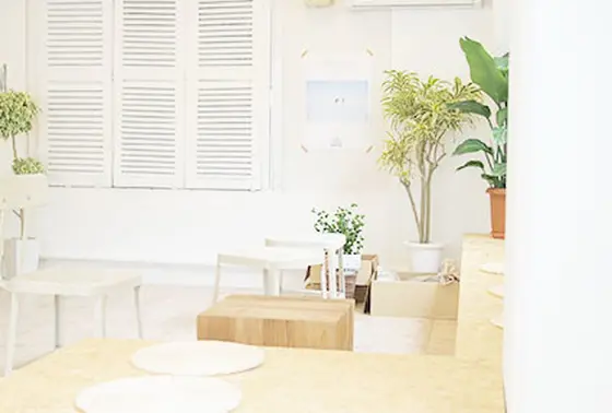 明るい店内。緑がたくさん。