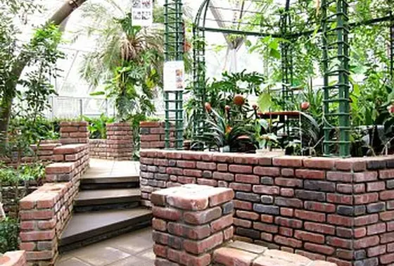 緑の植物は癒し効果絶大
