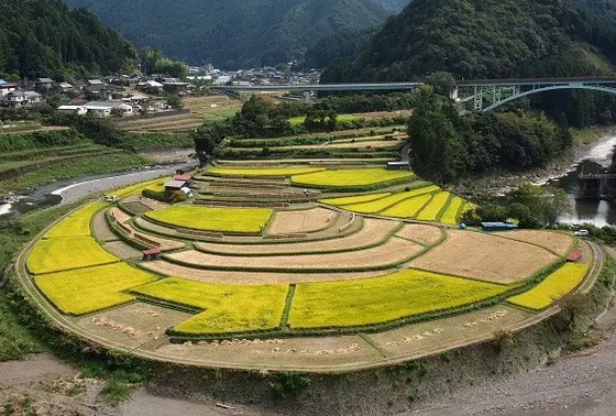 四季折々の風景