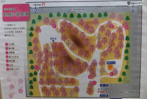 スポット内のおすすめ