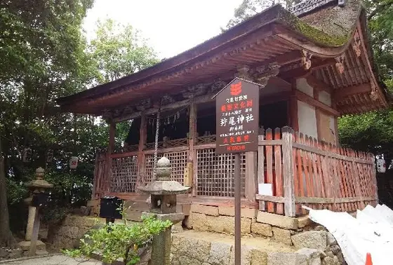 慈愛の神さま