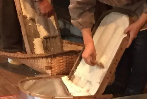 これが「糀」