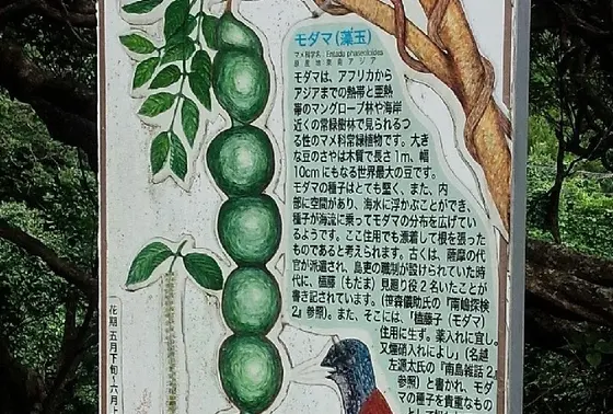 手作り感ある看板