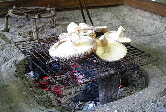 しいたけ(*^^*)