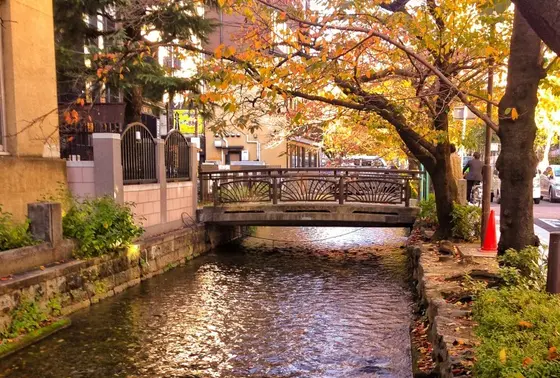 高瀬川沿い