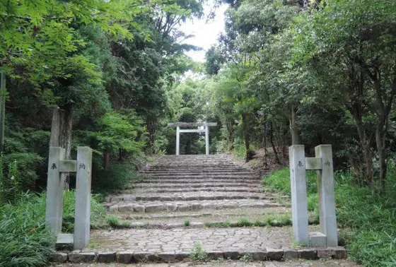 周囲は森