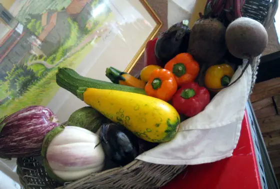 新鮮な鎌倉野菜