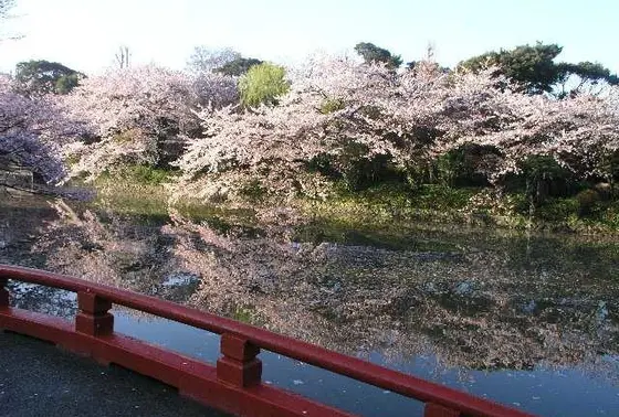 春はこんな感じになるそう🙄💕