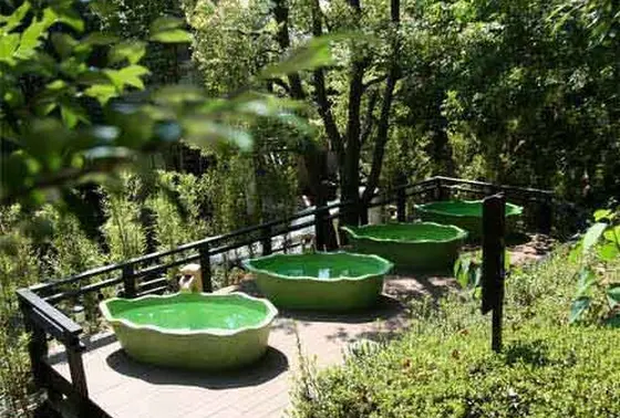 変わり湯や泥パックもあって楽しめます