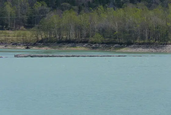 沈下橋