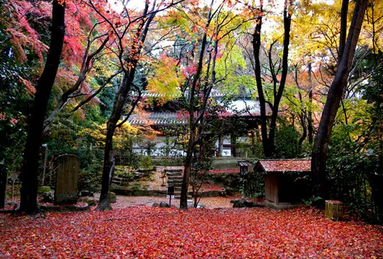 平家ゆかりの寺　長楽寺　　　京都市東山区円山町626番地