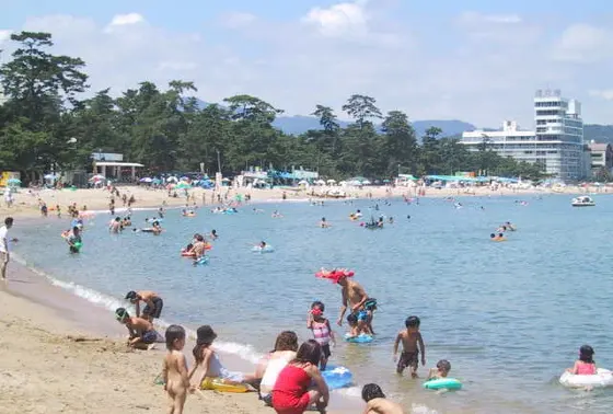 夏になると・・・