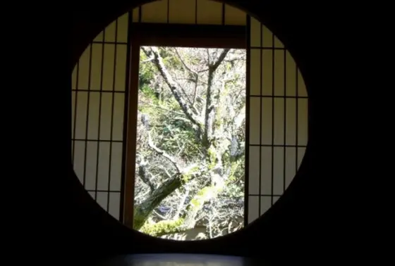 御寺泉涌寺の別院 　　　　　　　　　　　別格本山雲龍院