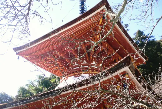 多宝塔