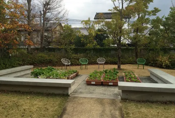 新庭