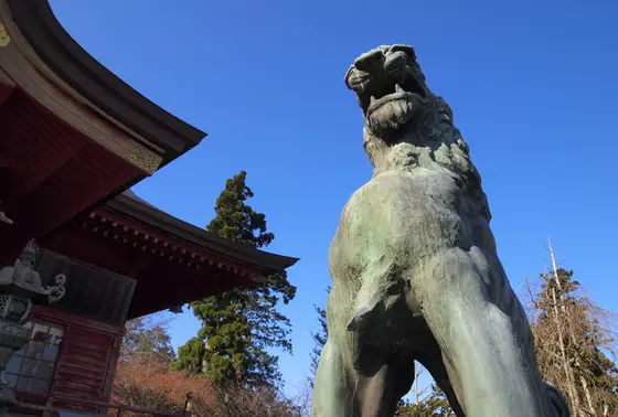 狛犬がニホンオオカミ！