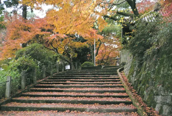 紅葉