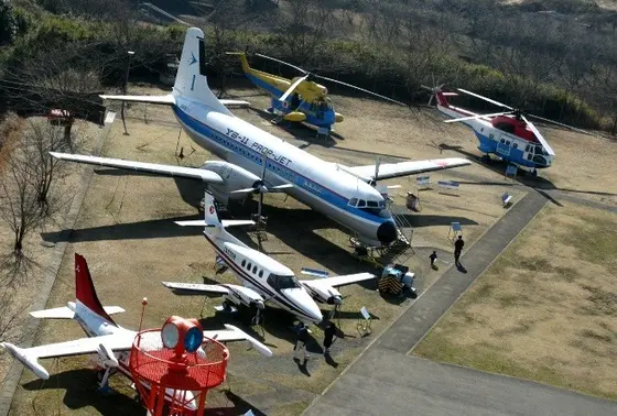 野外展示