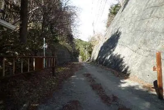 サイクリングもおすすめ!