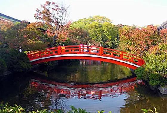 この橋ですよ