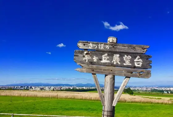 基本情報