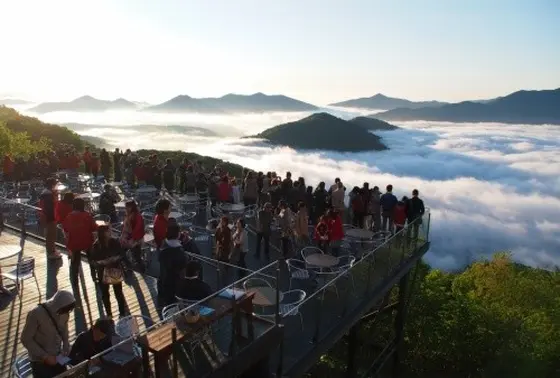 グリーンシーズンの雲海テラス