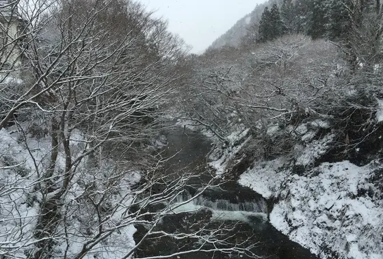 近くの橋から