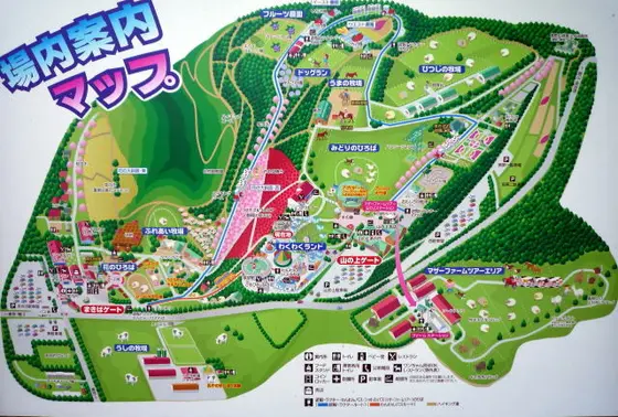 広い！