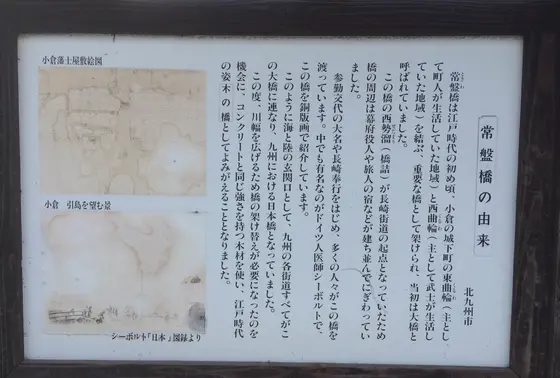 由来
