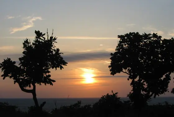 夕日