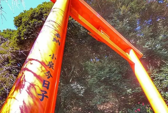 小泉今日子