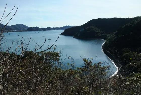 坂を上れば・・・