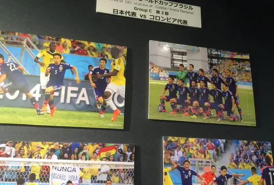 「ワールドカップへの挑戦」エリアー挫折