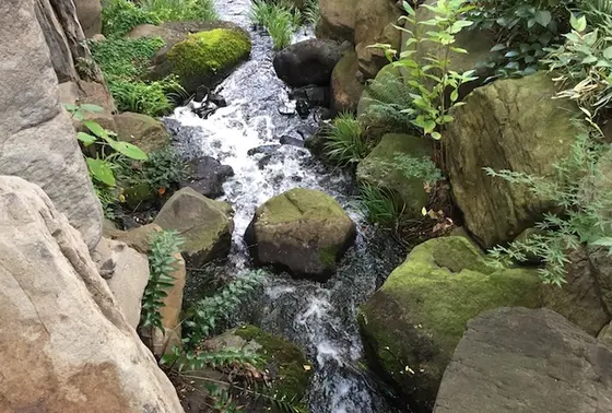 水音に癒される