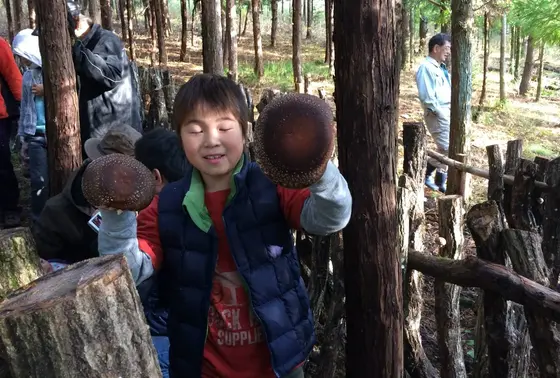 ステーキ用椎茸（特大）