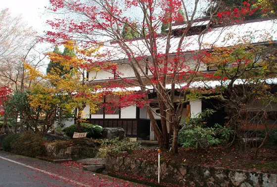 紅葉の季節がおすすめ