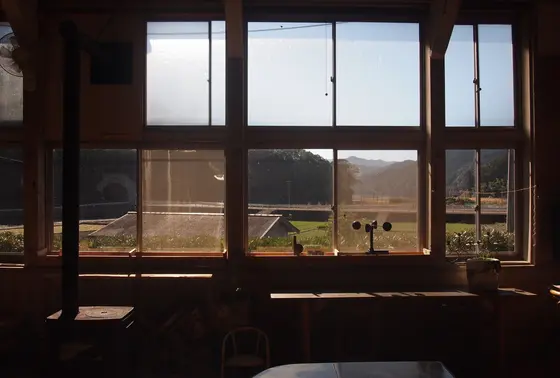 のどかな風景