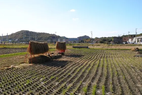 田園地帯かと思ったら