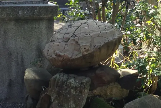 亀甲石
