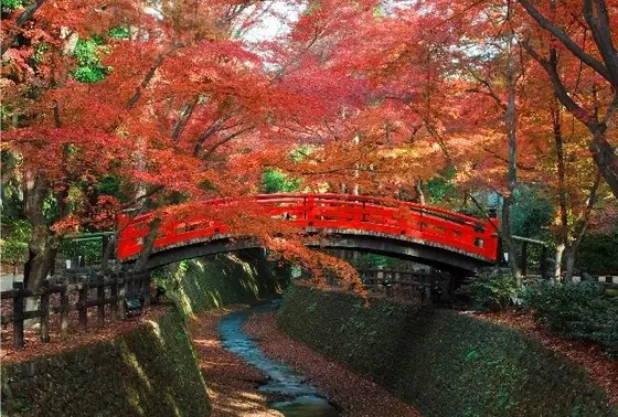御土居跡