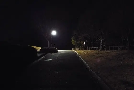 園内へ