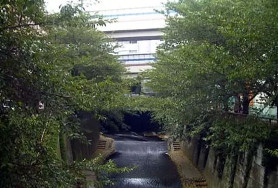 目黒川沿いを歩いてみると…