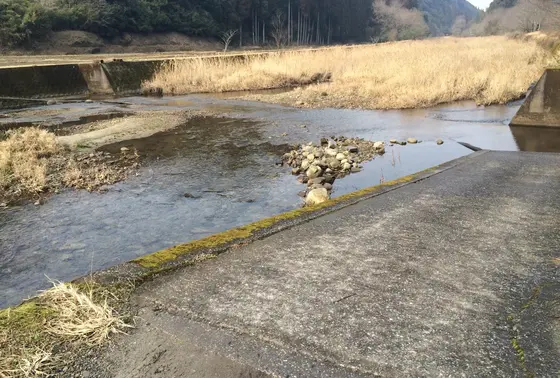 川向かいに渡る方法